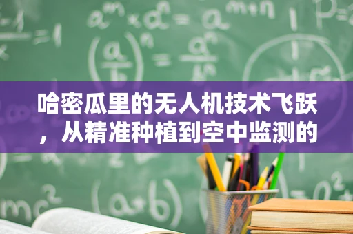 哈密瓜里的无人机技术飞跃，从精准种植到空中监测的智能革命