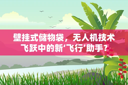 壁挂式储物袋，无人机技术飞跃中的新‘飞行’助手？