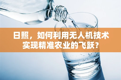 日照，如何利用无人机技术实现精准农业的飞跃？