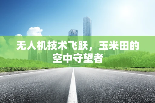 无人机技术飞跃，玉米田的空中守望者