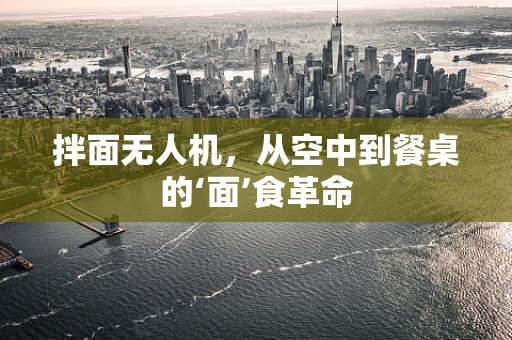 拌面无人机，从空中到餐桌的‘面’食革命