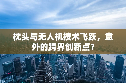枕头与无人机技术飞跃，意外的跨界创新点？