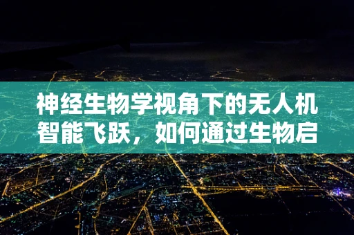 神经生物学视角下的无人机智能飞跃，如何通过生物启发优化飞行控制？