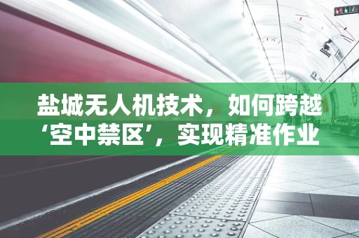 盐城无人机技术，如何跨越‘空中禁区’，实现精准作业？
