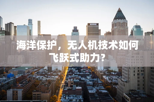 海洋保护，无人机技术如何飞跃式助力？