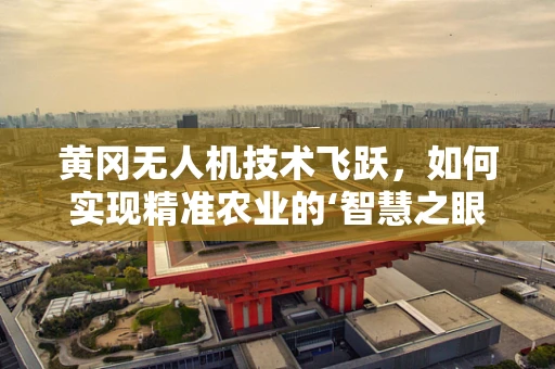 黄冈无人机技术飞跃，如何实现精准农业的‘智慧之眼’？