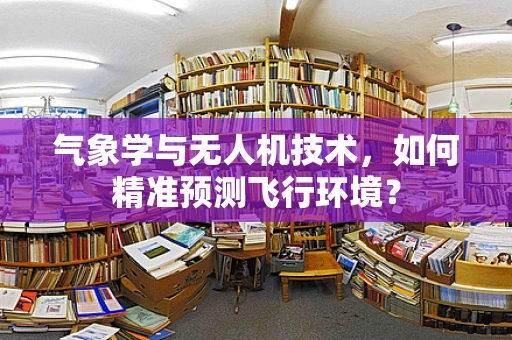 气象学与无人机技术，如何精准预测飞行环境？