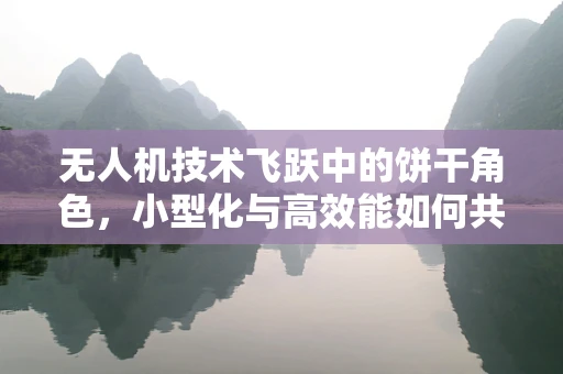 无人机技术飞跃中的饼干角色，小型化与高效能如何共舞？