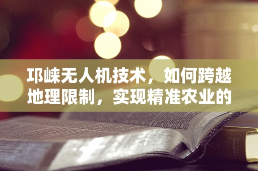 邛崃无人机技术，如何跨越地理限制，实现精准农业的飞跃？