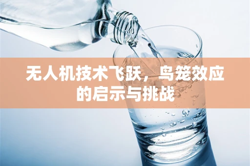 无人机技术飞跃，鸟笼效应的启示与挑战