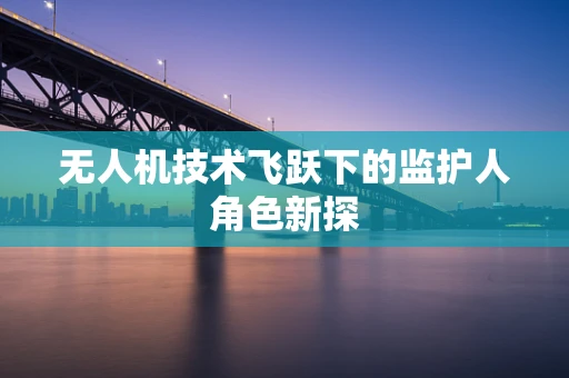 无人机技术飞跃下的监护人角色新探