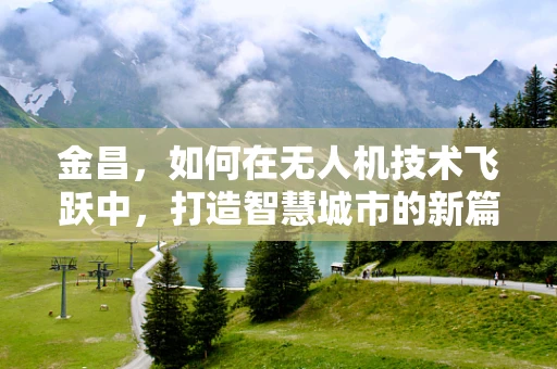 金昌，如何在无人机技术飞跃中，打造智慧城市的新篇章？