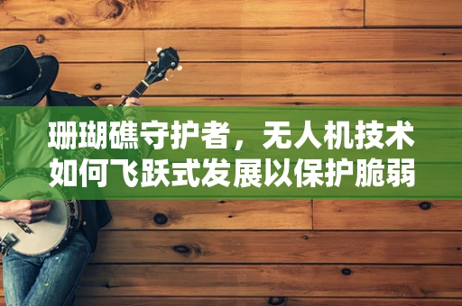 珊瑚礁守护者，无人机技术如何飞跃式发展以保护脆弱的海底生态？