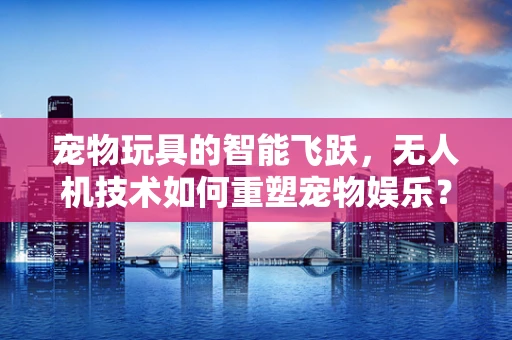 宠物玩具的智能飞跃，无人机技术如何重塑宠物娱乐？