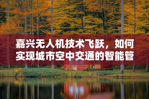 嘉兴无人机技术飞跃，如何实现城市空中交通的智能管理？