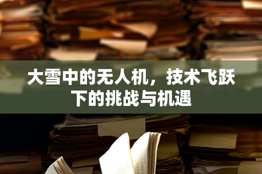 大雪中的无人机，技术飞跃下的挑战与机遇