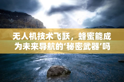 无人机技术飞跃，蜂蜜能成为未来导航的‘秘密武器’吗？