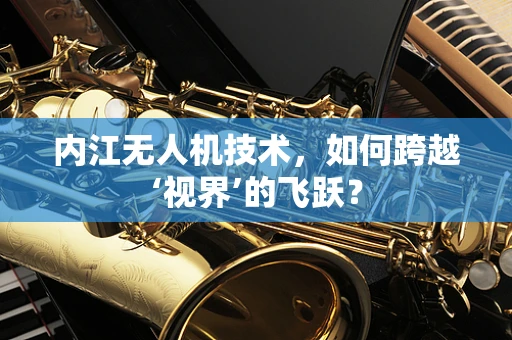 内江无人机技术，如何跨越‘视界’的飞跃？