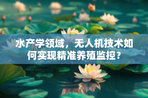 水产学领域，无人机技术如何实现精准养殖监控？