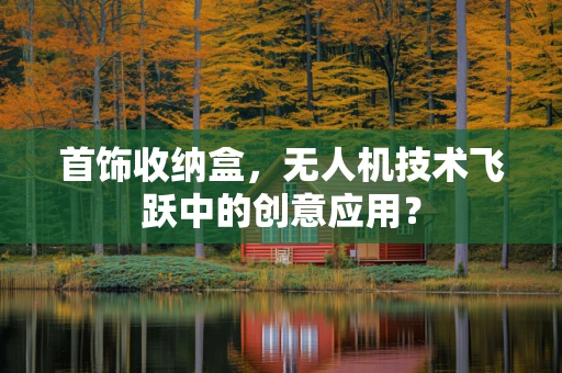 首饰收纳盒，无人机技术飞跃中的创意应用？