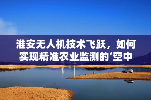 淮安无人机技术飞跃，如何实现精准农业监测的‘空中革命’？