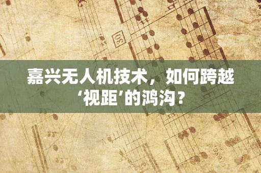 嘉兴无人机技术，如何跨越‘视距’的鸿沟？