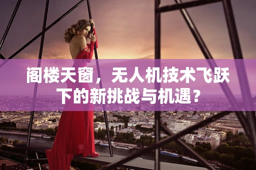 阁楼天窗，无人机技术飞跃下的新挑战与机遇？