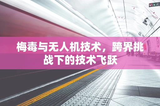 梅毒与无人机技术，跨界挑战下的技术飞跃