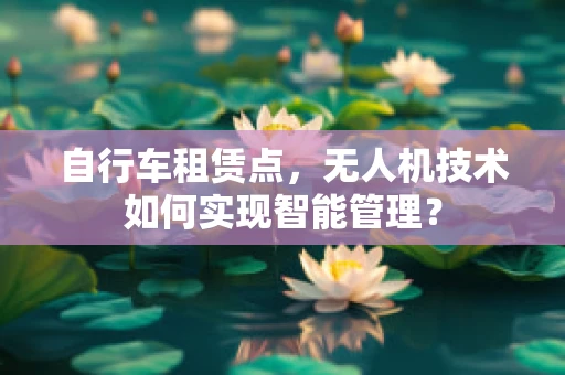 自行车租赁点，无人机技术如何实现智能管理？