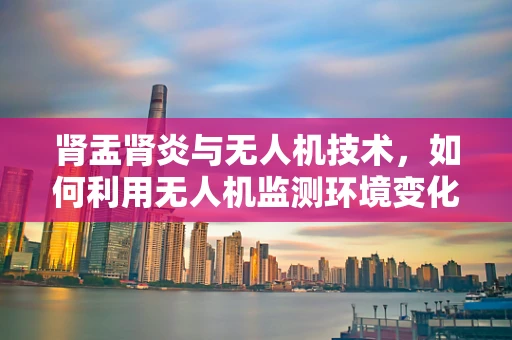 肾盂肾炎与无人机技术，如何利用无人机监测环境变化以预防疾病？