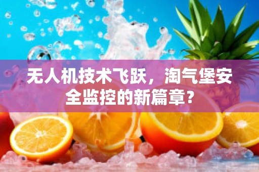 无人机技术飞跃，淘气堡安全监控的新篇章？