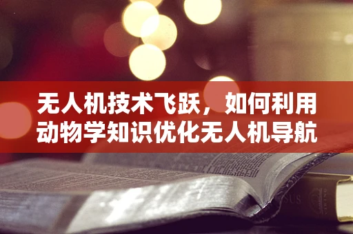 无人机技术飞跃，如何利用动物学知识优化无人机导航与追踪？
