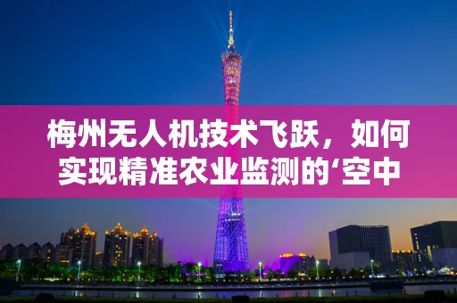 梅州无人机技术飞跃，如何实现精准农业监测的‘空中革命’？