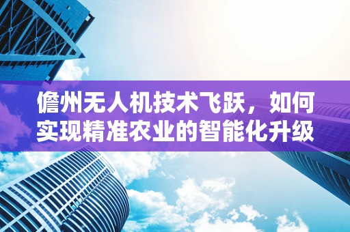 儋州无人机技术飞跃，如何实现精准农业的智能化升级？