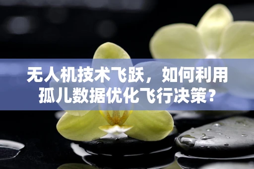 无人机技术飞跃，如何利用孤儿数据优化飞行决策？