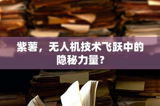 紫薯，无人机技术飞跃中的隐秘力量？