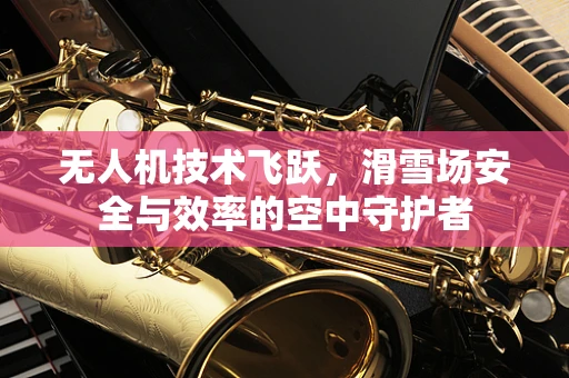 无人机技术飞跃，滑雪场安全与效率的空中守护者