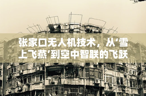 张家口无人机技术，从‘雪上飞燕’到空中智联的飞跃