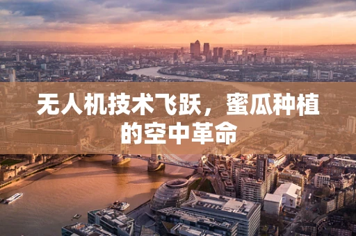 无人机技术飞跃，蜜瓜种植的空中革命