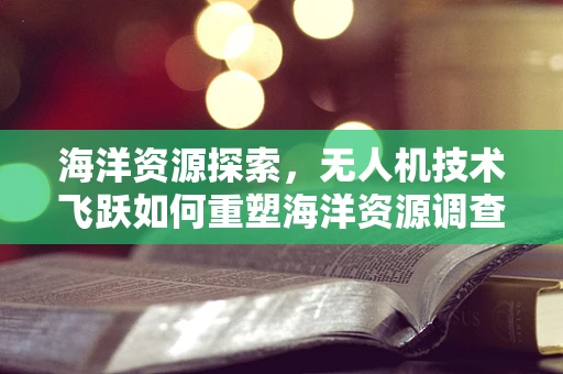 海洋资源探索，无人机技术飞跃如何重塑海洋资源调查？