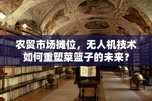 农贸市场摊位，无人机技术如何重塑菜篮子的未来？