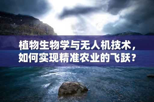 植物生物学与无人机技术，如何实现精准农业的飞跃？