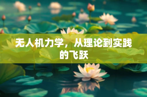 无人机力学，从理论到实践的飞跃