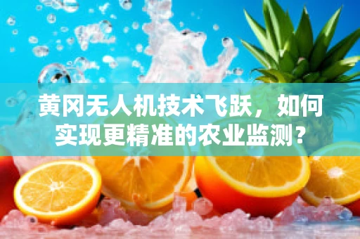 黄冈无人机技术飞跃，如何实现更精准的农业监测？