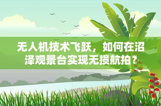无人机技术飞跃，如何在沼泽观景台实现无损航拍？