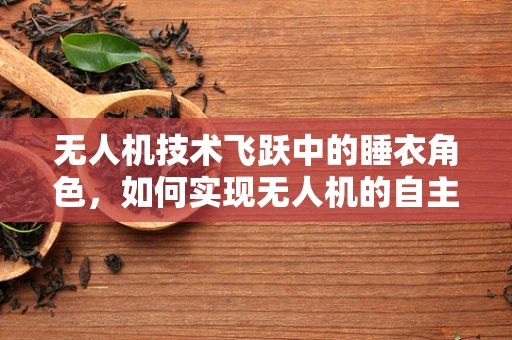 无人机技术飞跃中的睡衣角色，如何实现无人机的自主夜间飞行？
