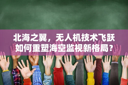 北海之翼，无人机技术飞跃如何重塑海空监视新格局？