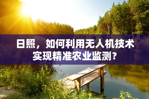 日照，如何利用无人机技术实现精准农业监测？