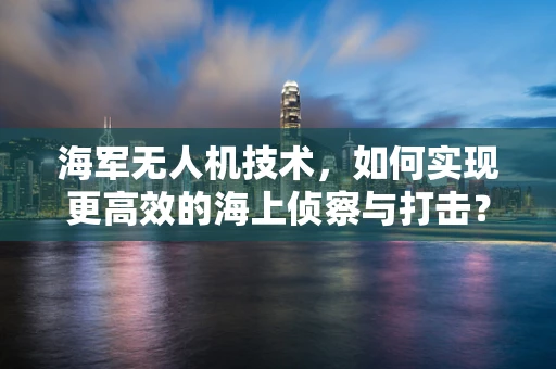 海军无人机技术，如何实现更高效的海上侦察与打击？