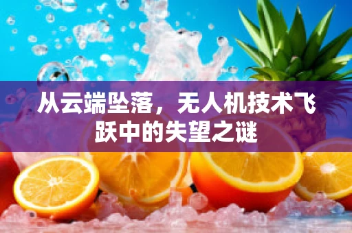 从云端坠落，无人机技术飞跃中的失望之谜